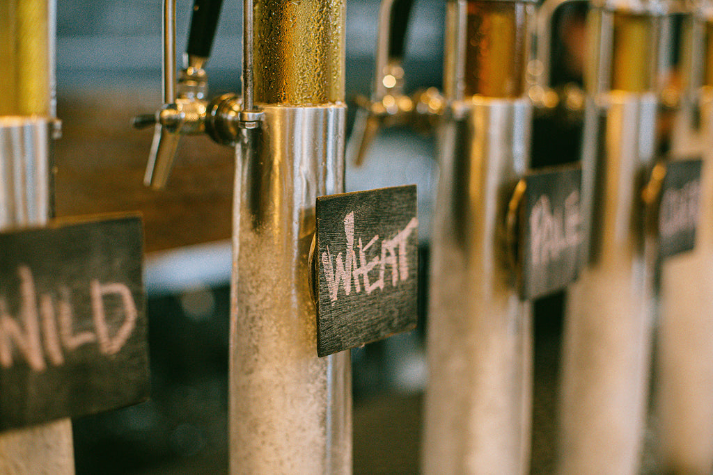 Wild Yeast brewing co. Ginger beer brewery